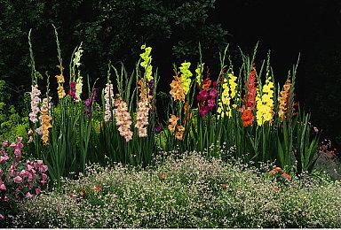 重生娱乐《Apex英雄》开发团队遭裁员 多名员工被解雇